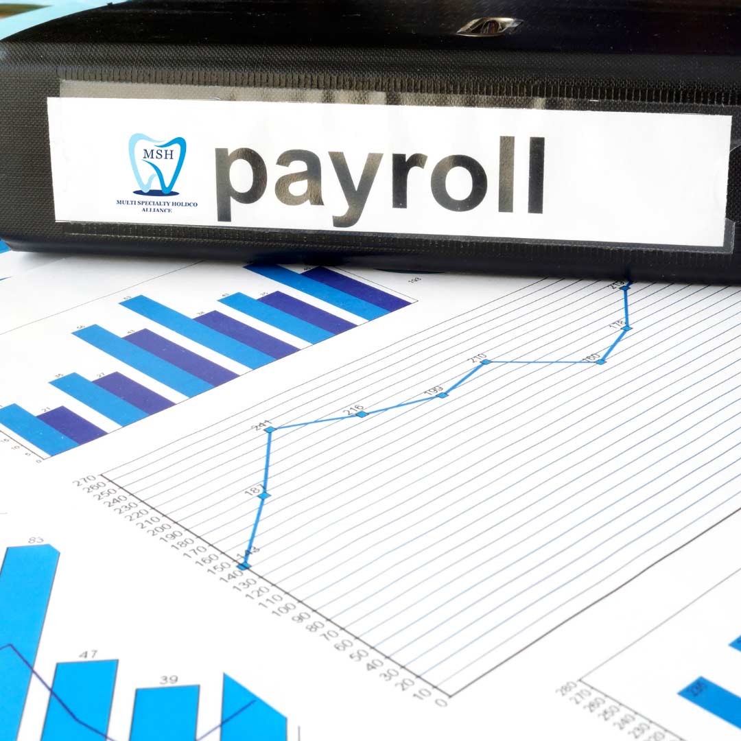 MSH - Payroll Services